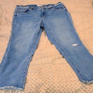 NWOT Loft Modern Straight Blue Jeans